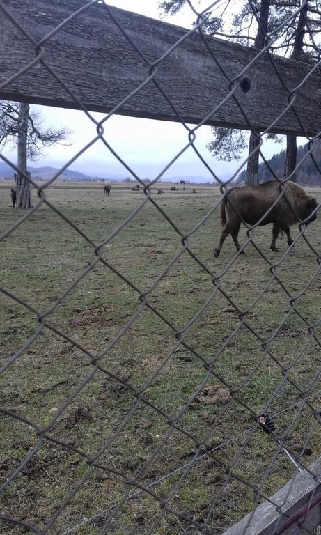 Pensiunea Margareta Sita Buzaului Bagian luar foto