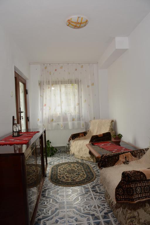 Pensiunea Margareta Sita Buzaului Bagian luar foto